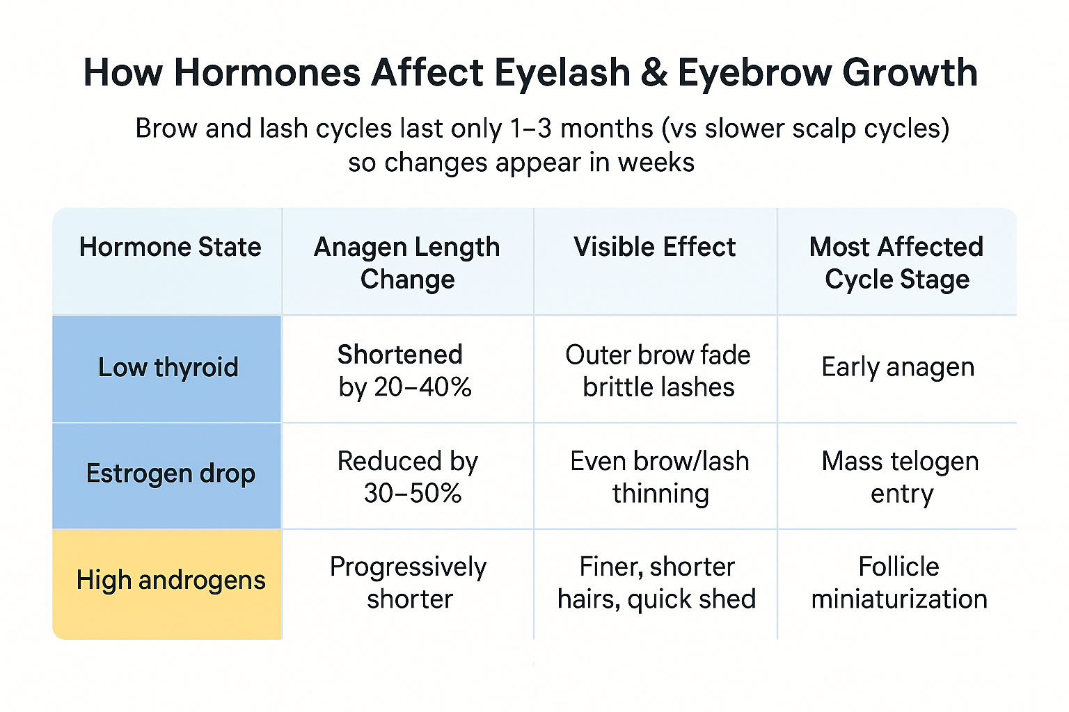 Comparison table showing low thyroid shortens anagen by 20-40% causing outer brow fade, estrogen drop reduces it by 30-50% causing even thinning, and high androgens progressively shorten hairs leading to quick shed