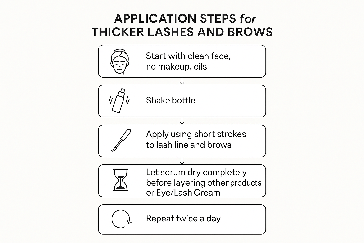 Flowchart of the exact twice-daily application steps for the lash and brow growth serum