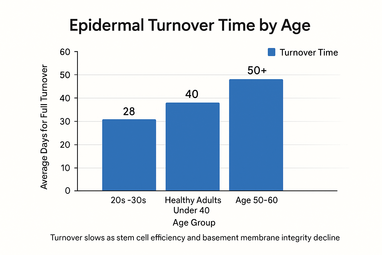 Bar chart showing epidermal turnover averages 28 days in the 20s–30s, 28–40 days under age 40, and slows to 40–50+ days by ages 50–60.