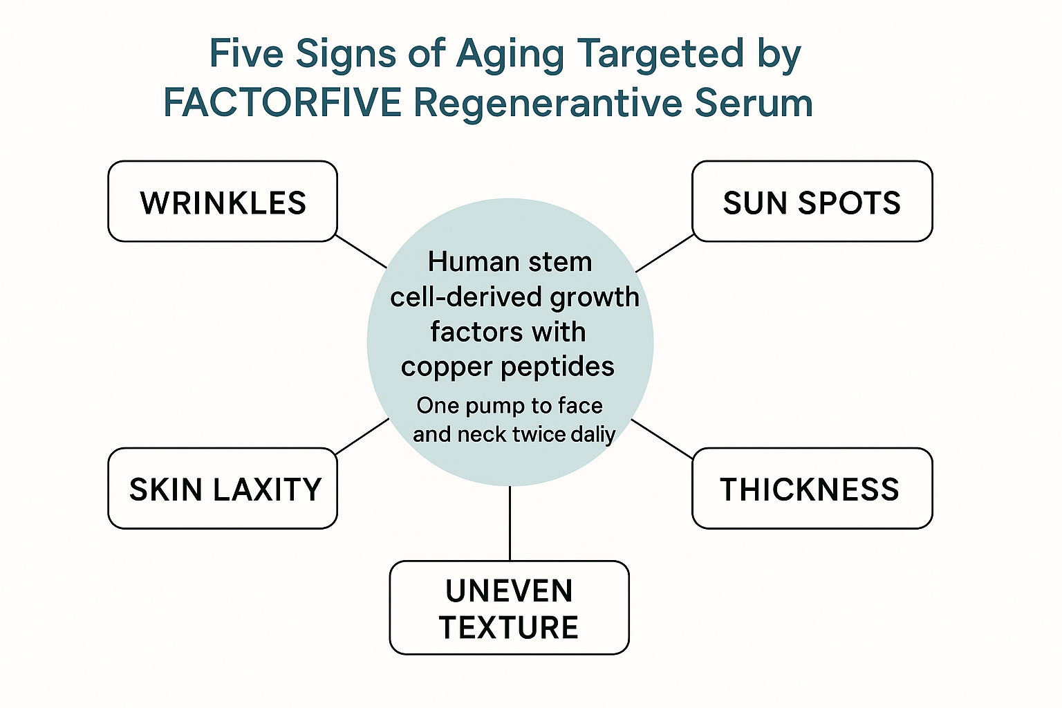 Diagram showing the five specific signs of aging including sun spots that the serum targets