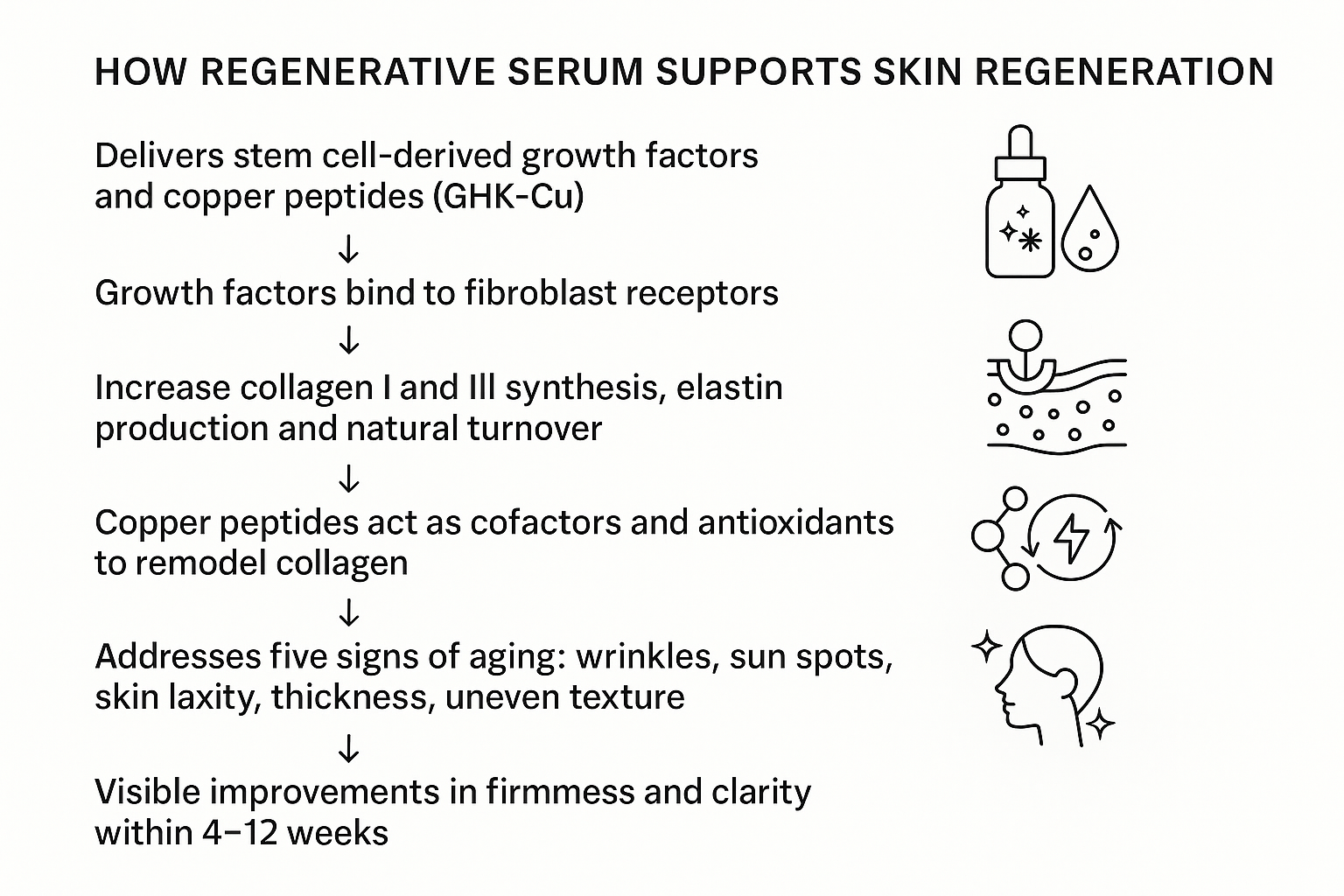 Flowchart depicting the mechanism by which growth factors and copper peptides in regenerative serum restore collagen and address five signs of aging