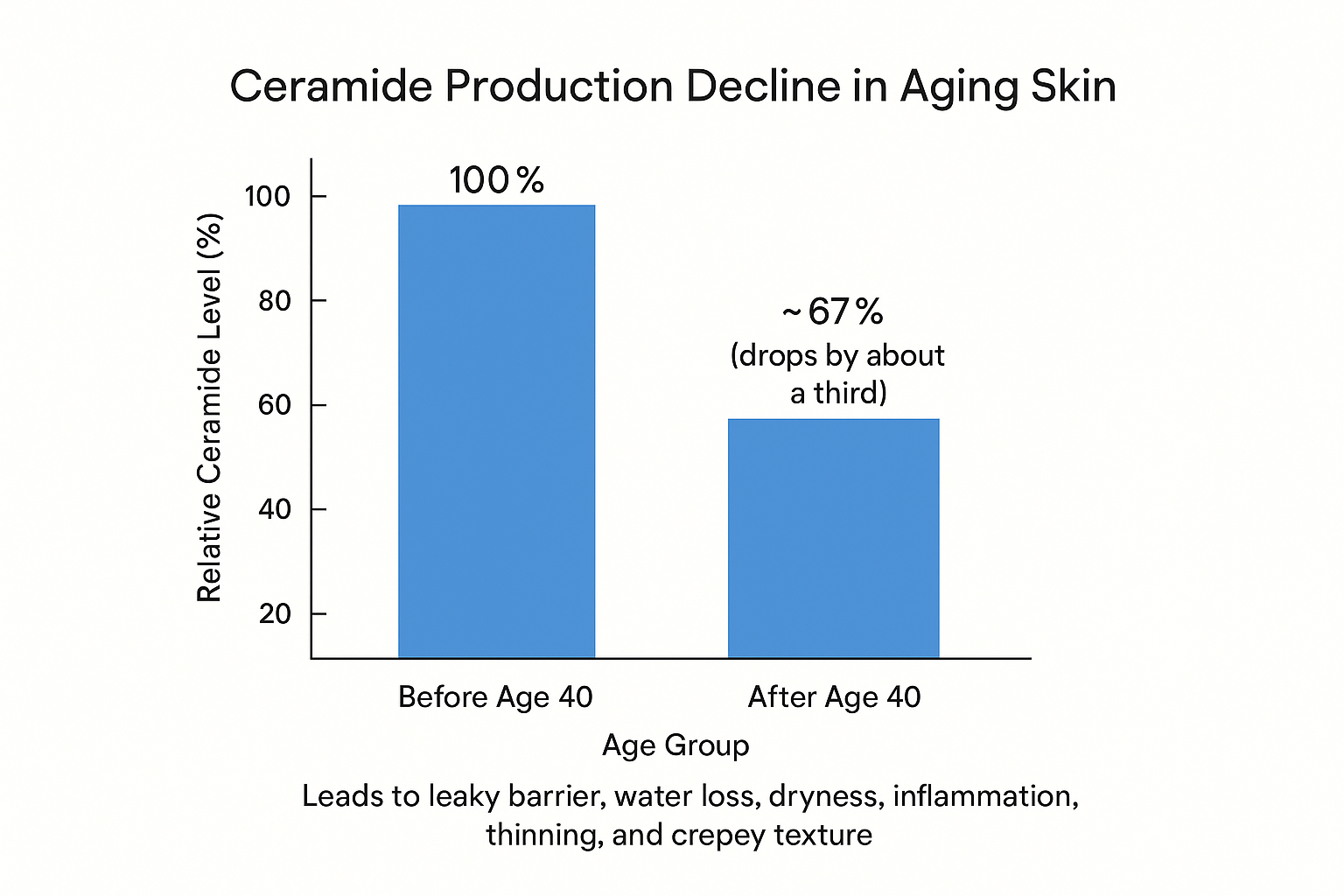 Bar chart showing ceramide production drops by about a third after age 40, resulting in dryness, inflammation, and thinning skin