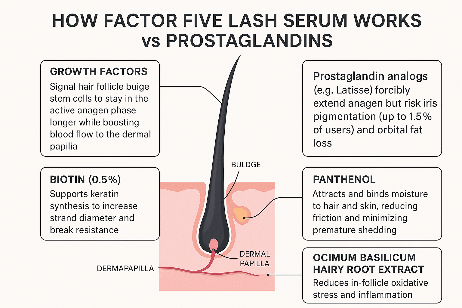 Diagram explaining the mechanisms of growth factors, biotin, panthenol, and basil root extract in prolonging the anagen phase without prostaglandin side effects