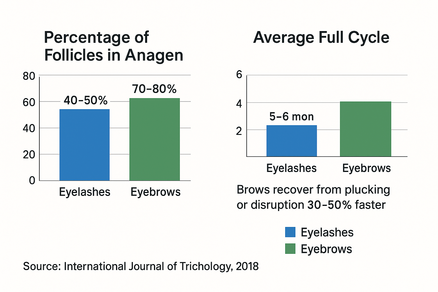 Bar chart comparing anagen percentage and full cycle length between eyelashes and eyebrows