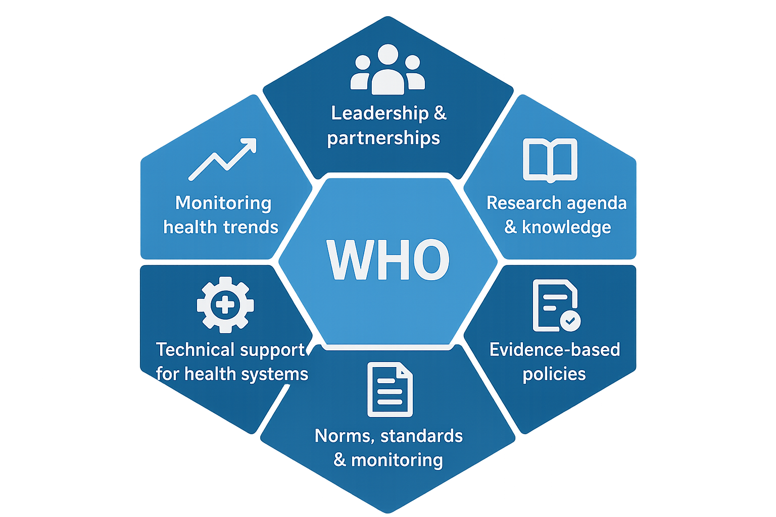 Six core functions of the World Health Organization