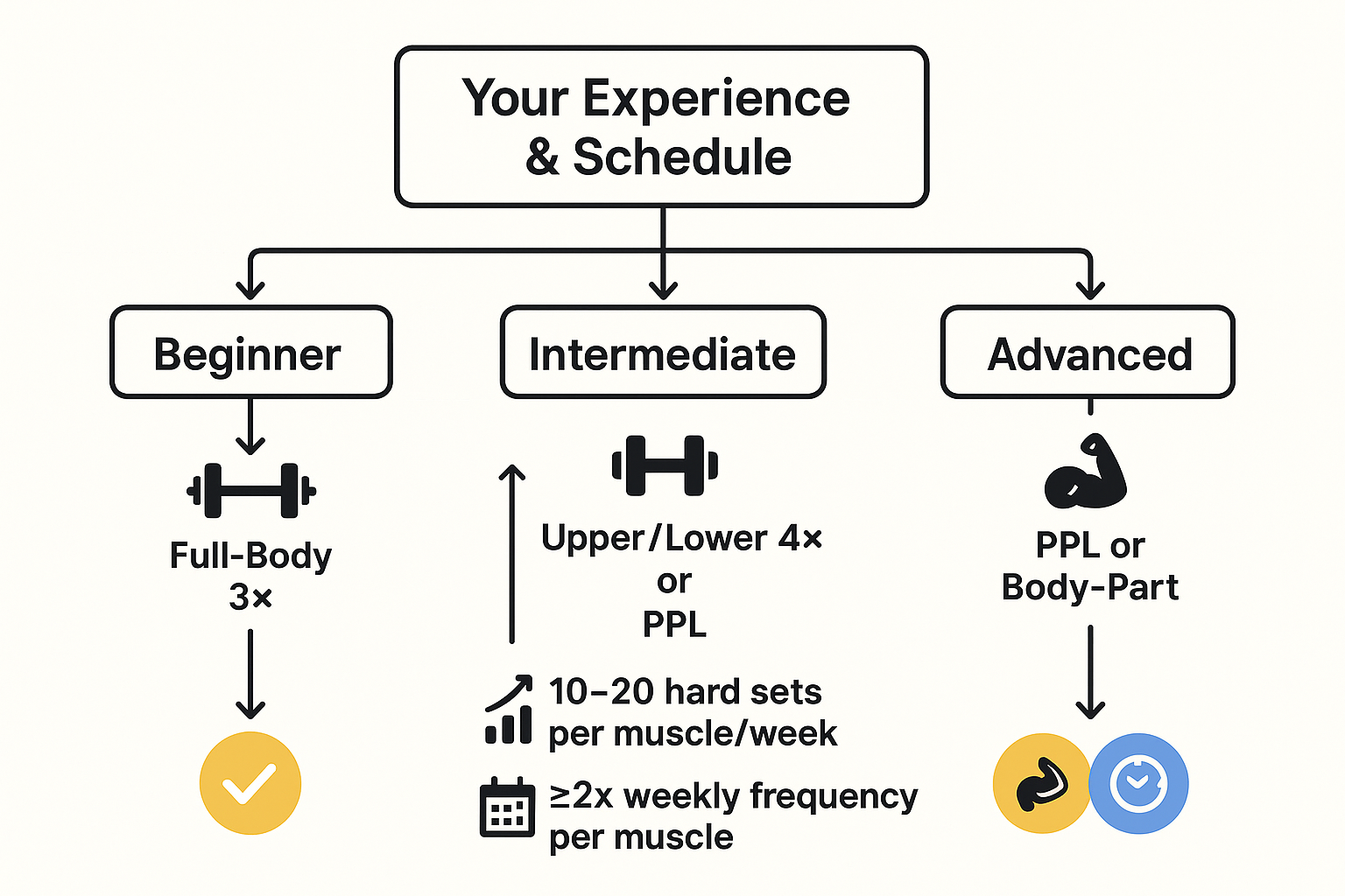Flowchart for selecting the best muscle gain routine by training experience